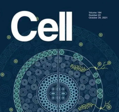 祝賀王二濤老師團(tuán)隊(duì)又一佳作榮登Cell期刊！